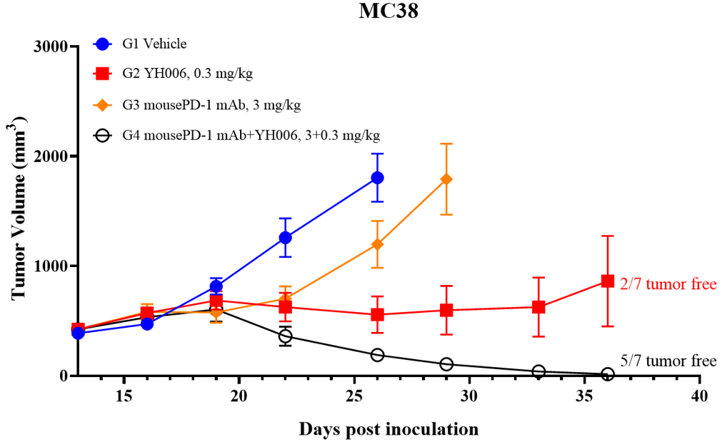 MC38 tumor growth curves showing enhanced antitumor activity of YH006 in combination with PD-1 blockade compared with either treatment alone.