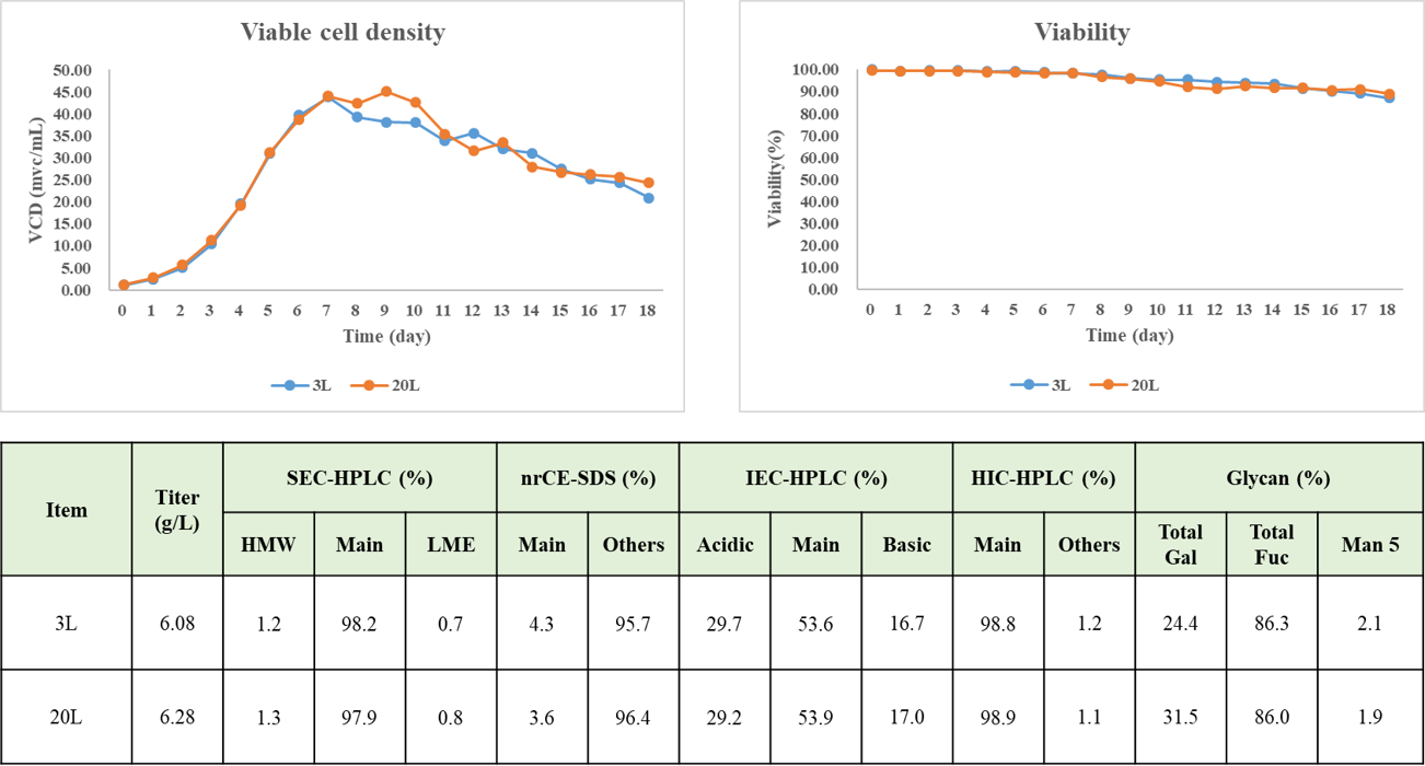 Upstream and downstream process data showing YH006 expression above 6 grams per liter, purification yield above 80 percent, and stability of a 40 milligram-per-milliliter drug-product formulation.