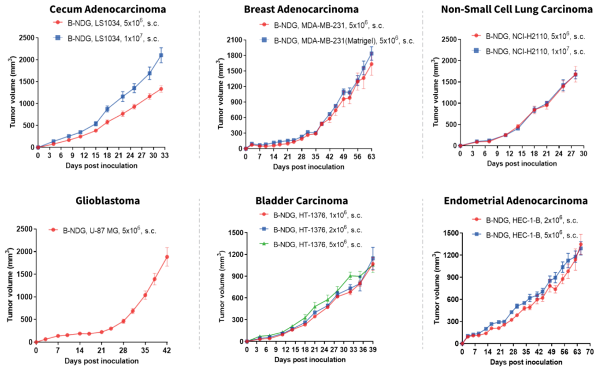 Biocytogen’s CDX Model Library