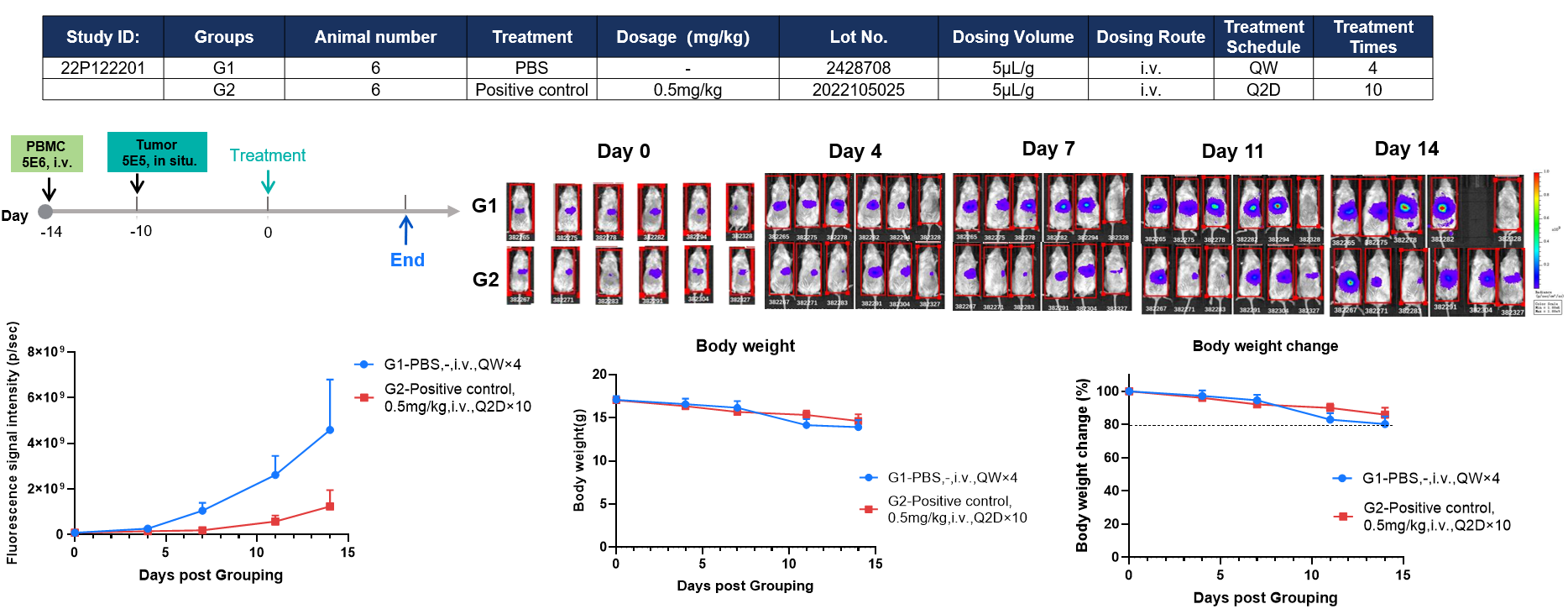 Efficacy Evaluation of a Lipid Nanoparticle (LNP)–mRNA Drug in a PBMC-Reconstituted Orthotopic Liver CDX Model Using B-NDG Mice