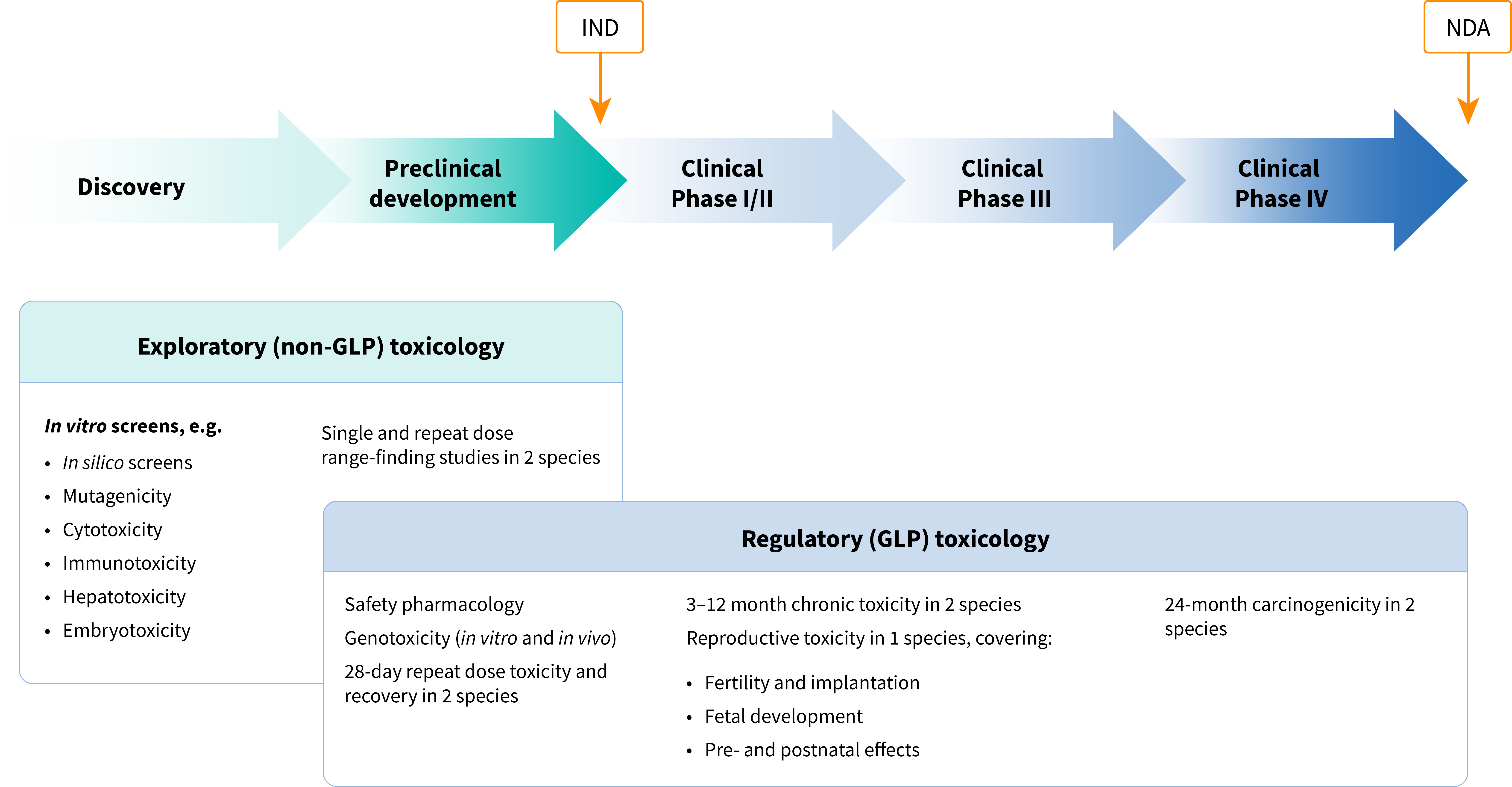 Toxicology in the Drug Development Pipeline