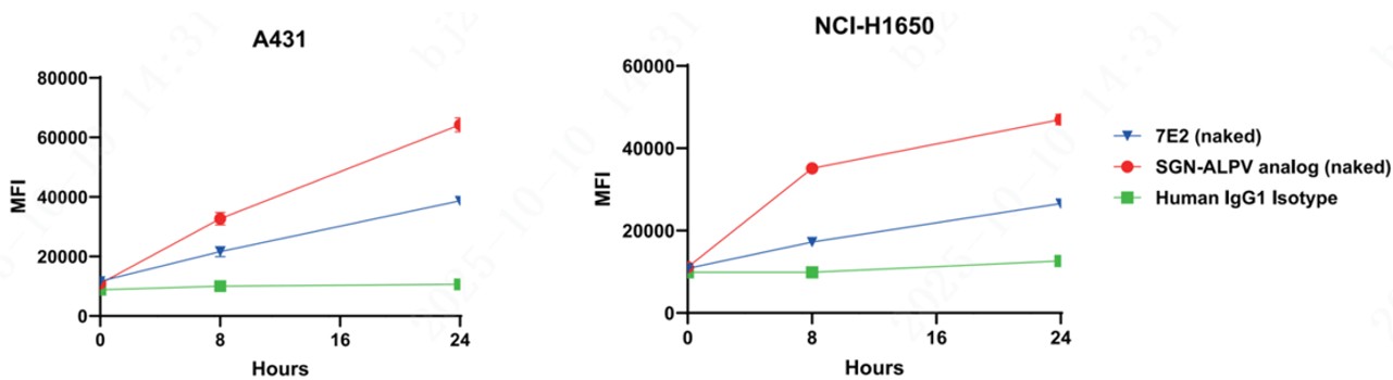 7E2 Internalization by tumor cells