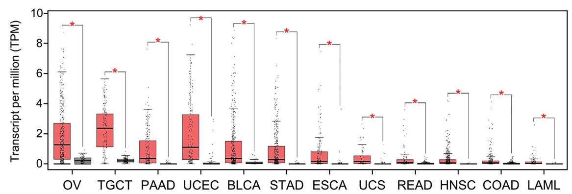 The expression of PLAP gene was statistically significantly higher in cancerous tissues.