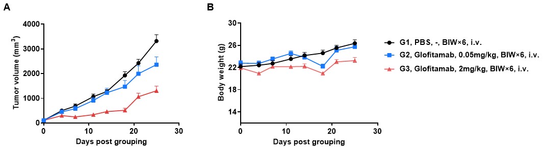 Antitumor activity of Glofitamab in B-hCD3EDG/hCD20 mice
