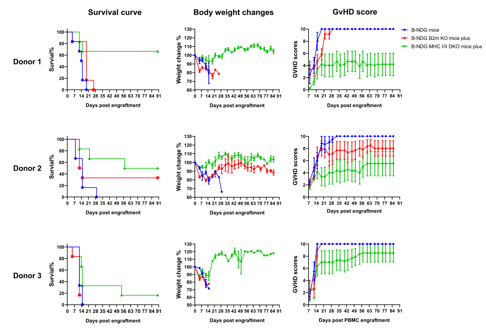 Delayed GvHD in B-NDG MHC I/II DKO mice plus.