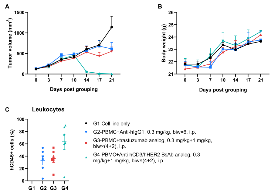 In vivo efficacy evaluation of B-NDG MHC I/II DKO mice reconstituted with human PBMCs