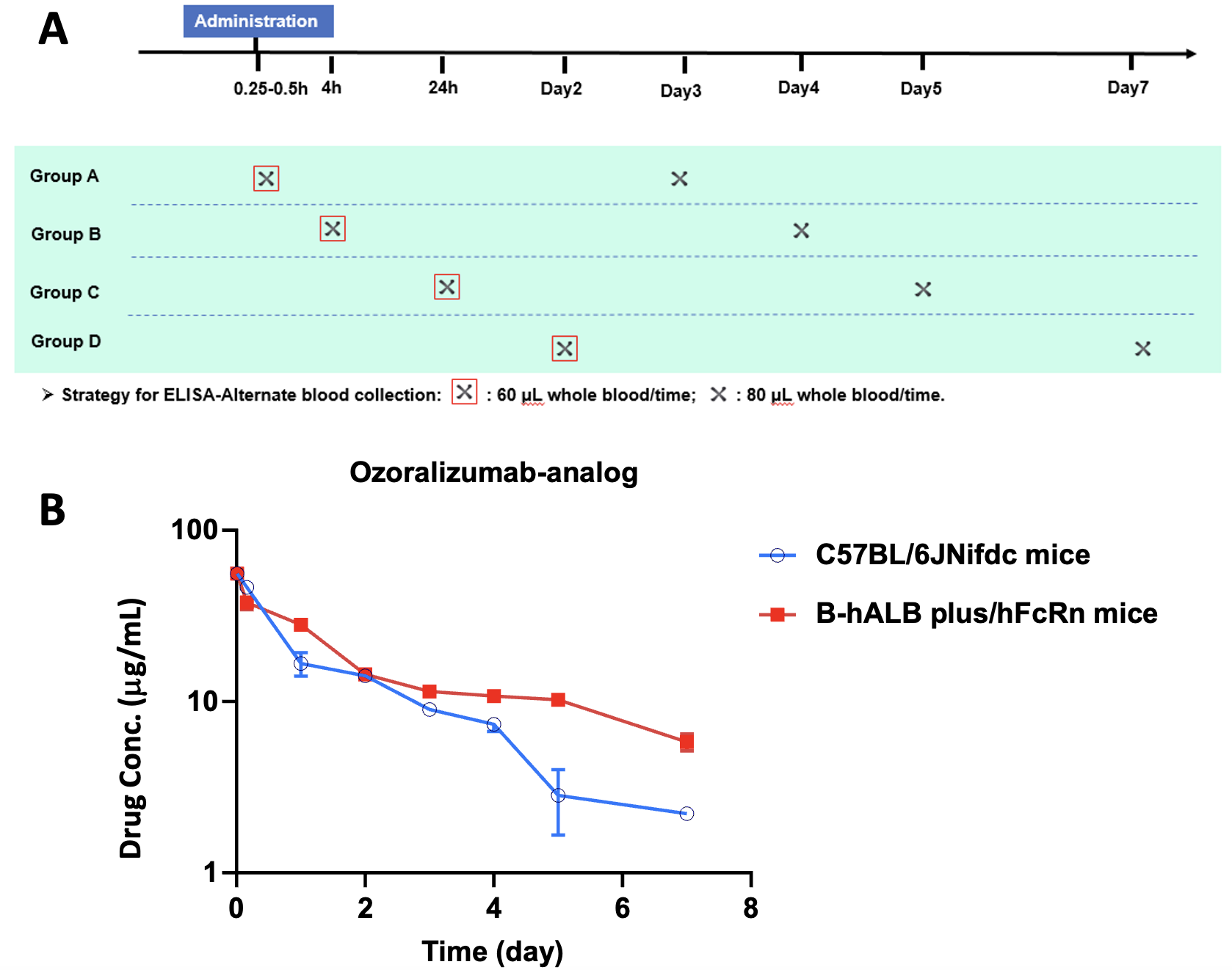 Antibody PK in B-hALB plus/hFcRn mice