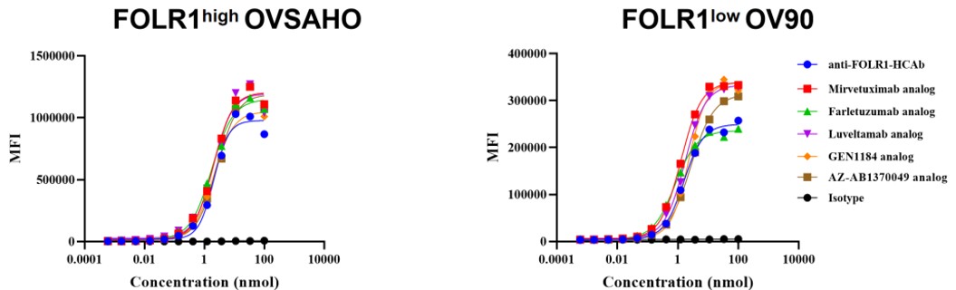FOLR1 binding in low- and high-expressing cells