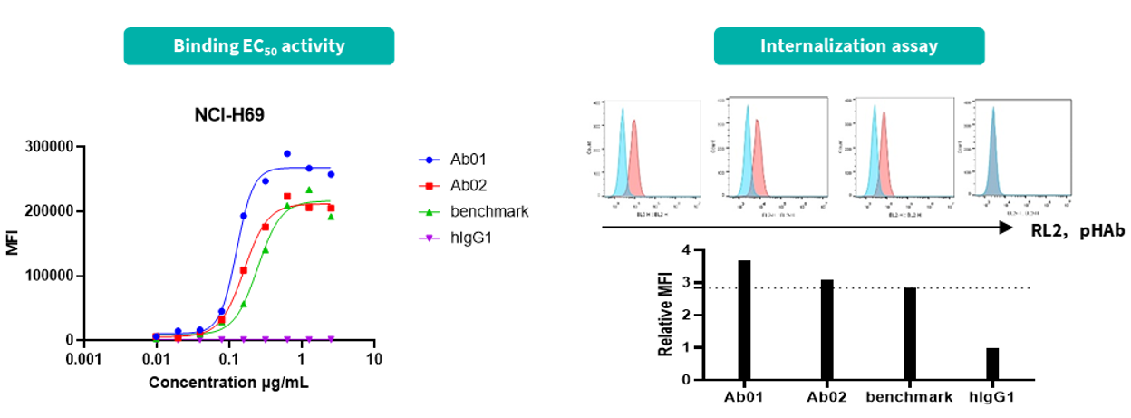 SSTR antibody in vitro validation