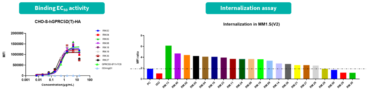 GPRC5D antibody in vitro validation