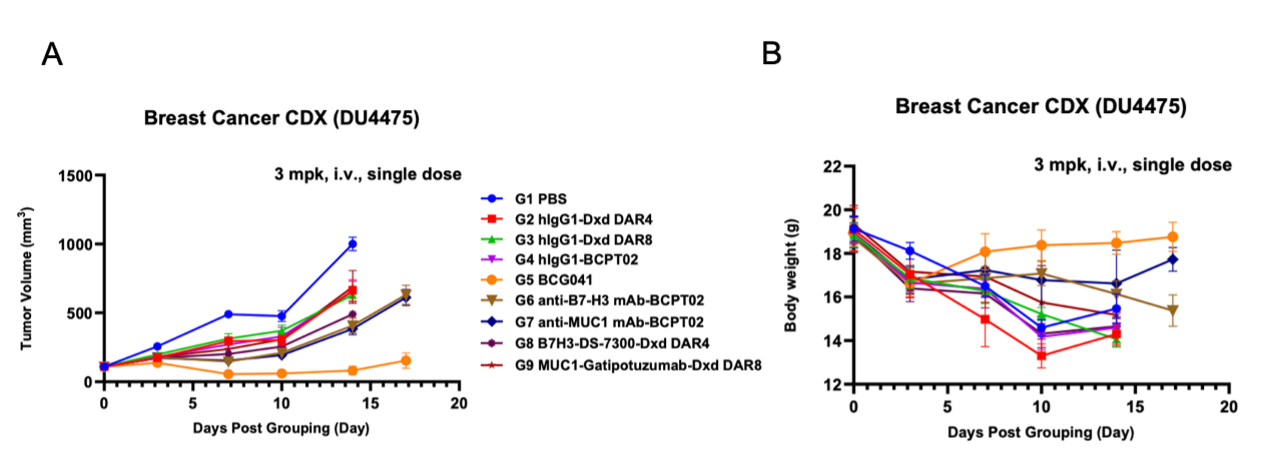 BCG041 in vivo antitumor efficacy in breast cancer CDX model