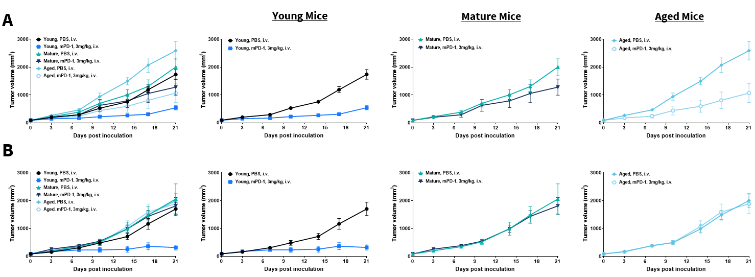 Anti-tumor efficacy of PD-1 therapy in young, mid, aged mice