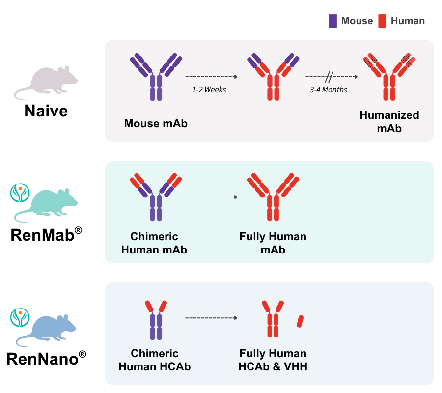 RenNano HCAb VHH 