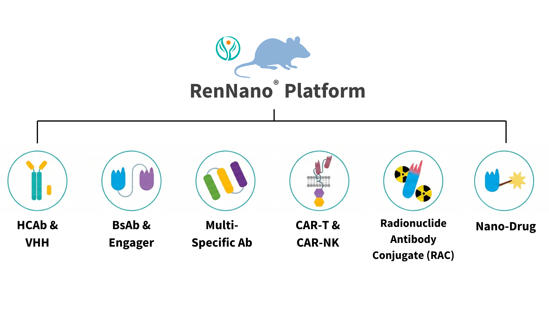 RenNano platform application