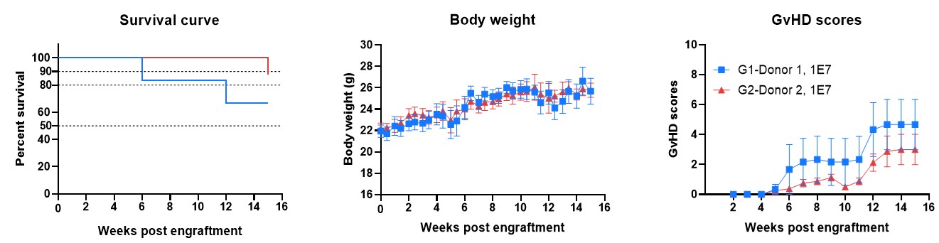 hPBMC engrafted B-NDG MHCI.II DKO mice have long life span and delayed GvHD