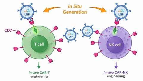 CD7-tLNP for in vivo CAR-T and CAR-NK