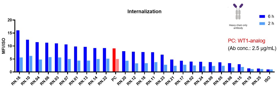 CD7 HCAb internalization