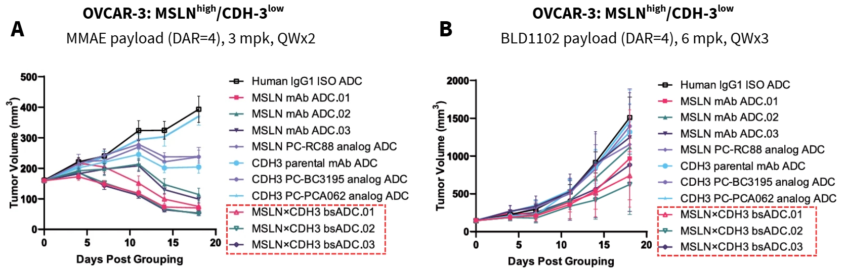 MSLNxCDH3 bsADC in vivo antitumor efficacy in ovarian cancer CDX model
