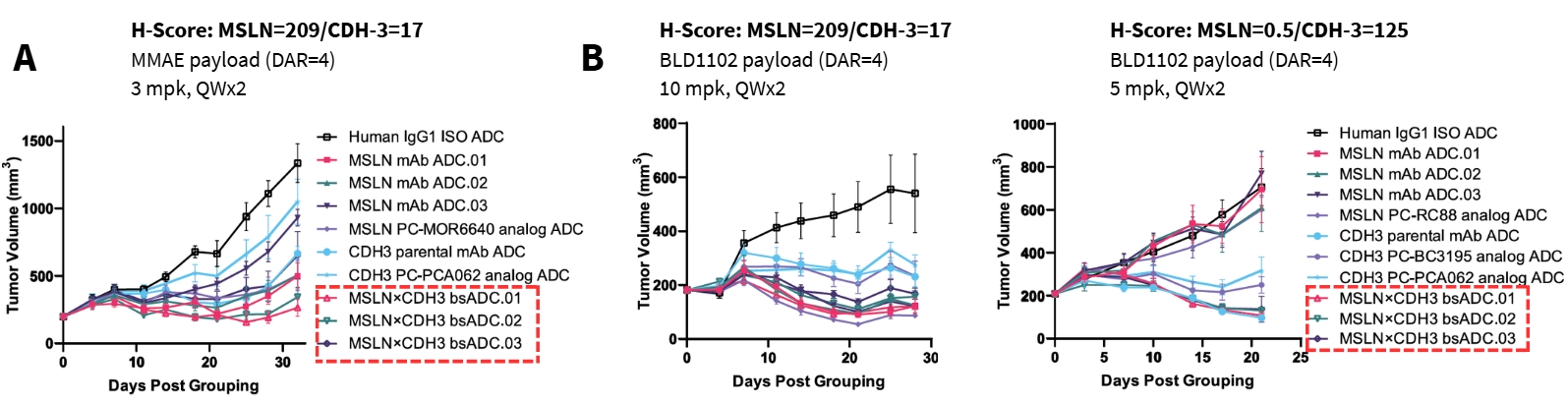 MSLNxCDH3 bsADC in vivo antitumor efficacy in pancreatic cancer PDX models