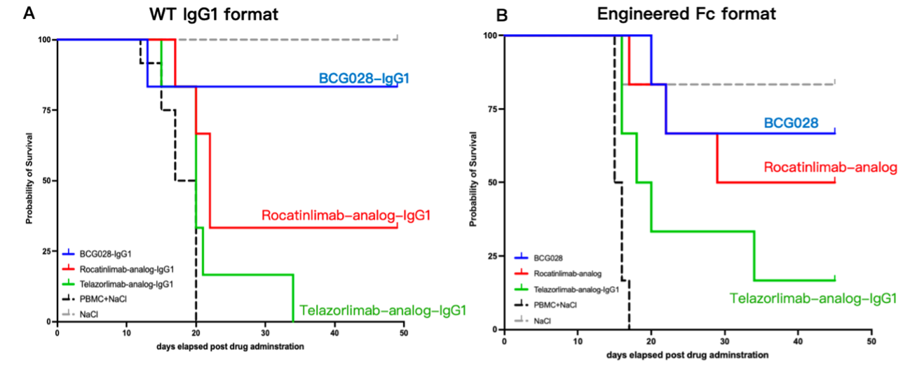 Superior in vivo efficacy of BCG028-IgG1 and BCG028 in a mouse GvHD model