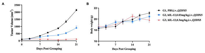 Antitumor activity of human IL12 in B-hIL12RB1/hIL12RB2 mice ad