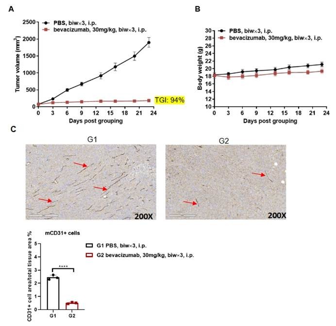 https://cdn.biocytogen.com/web/product/image/110822/202412112008453868.png