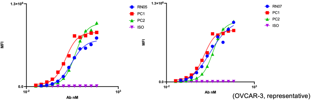 Comparable binding profiles between anti-MUC16 HCAbs and Benchmarks