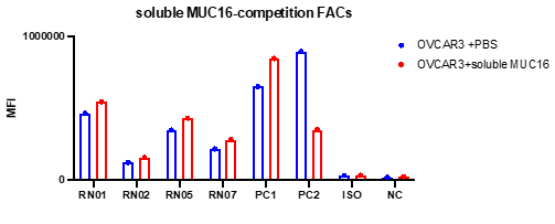 MUC16 HCAbs do not bind cleaved form of MUC16
