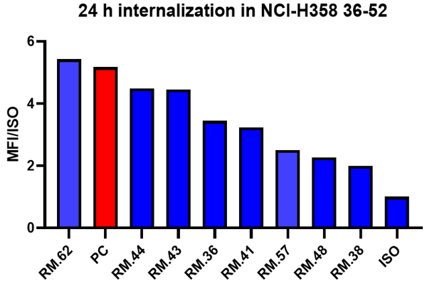 Internalization of anti-B7-H3 monoclonal antibodies