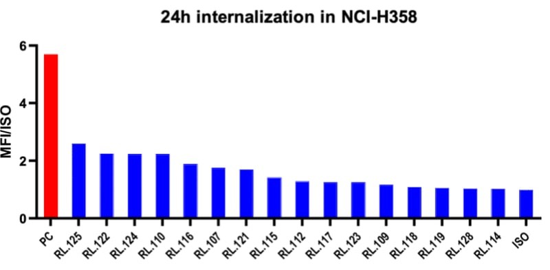 Internalization of common light chain anti-B7-H3 mAbs