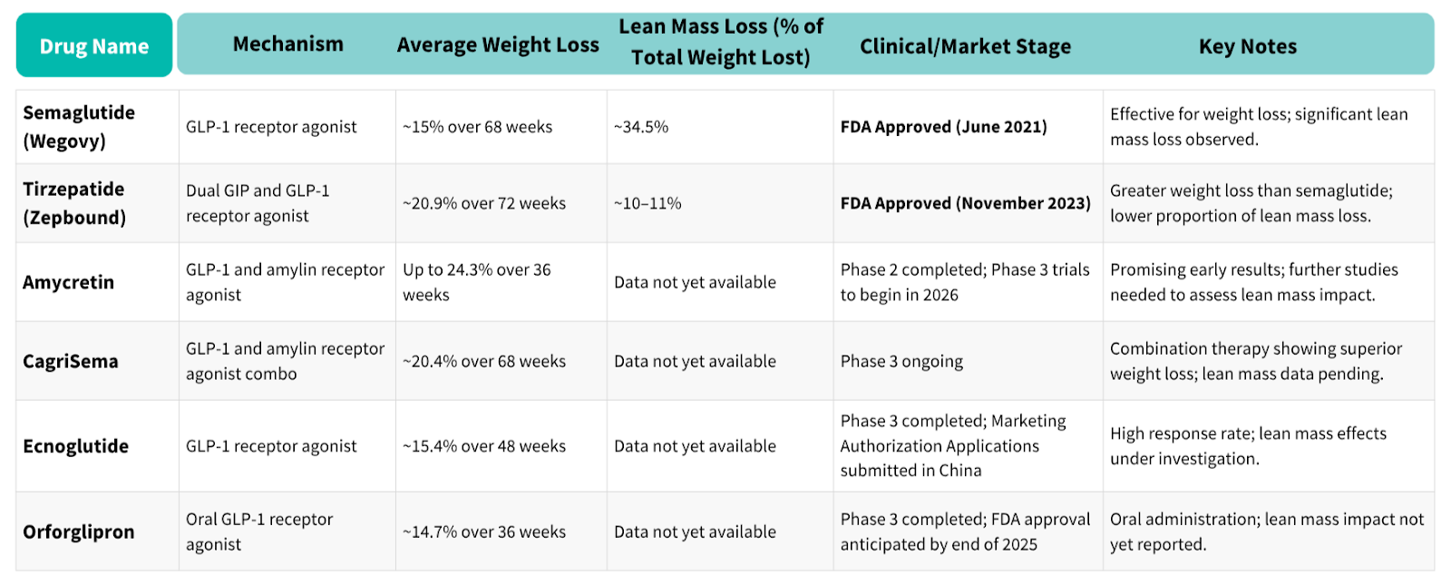 Weight Loss Drug Comparison: Efficacy, Muscle Loss, and Market Stage