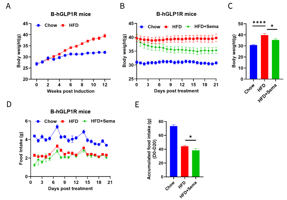 Efficacy Study of Semaglutide in HFD Induced B-hGLP1R Mice
