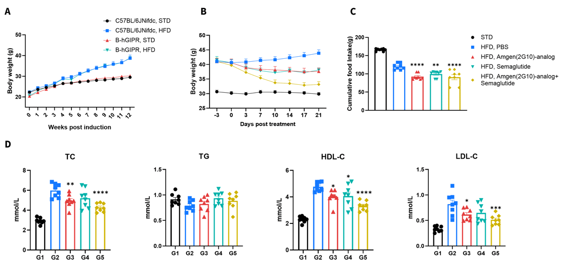 Efficacy Study in HFD Induced B-hGIPR Mice