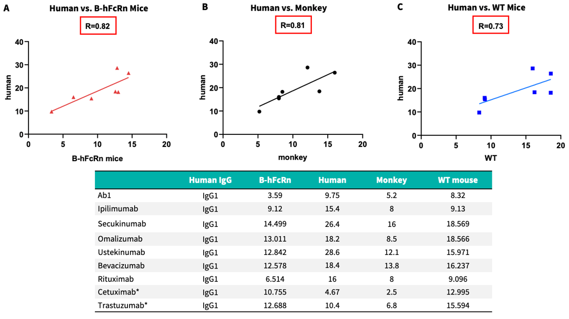 FcRn-Humanized Mice Show Stronger Correlation with Human for Antibody Half-Life