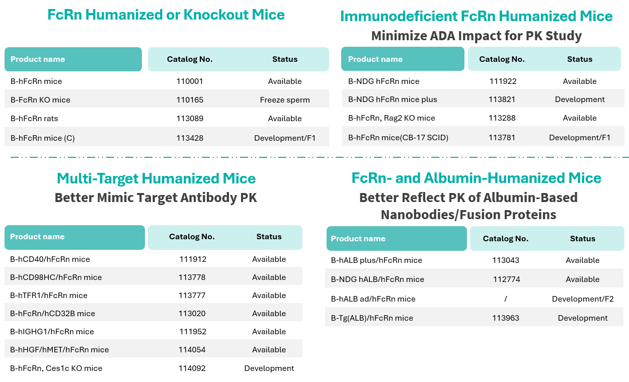 FcRn Humanized Models at Biocytogen