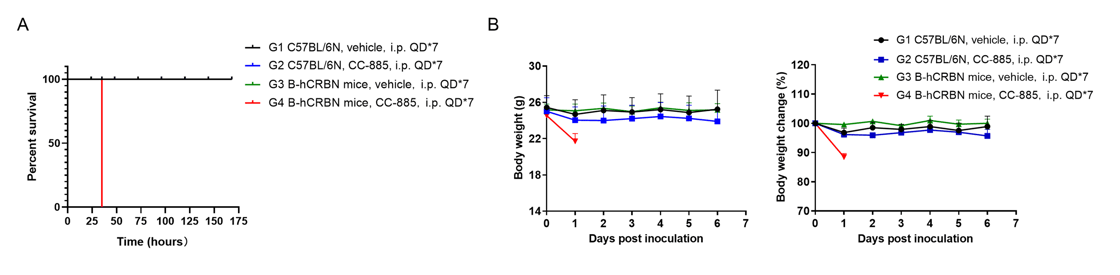 In vivo toxicity of CC‑885 in wild-type and B‑hCRBN mice