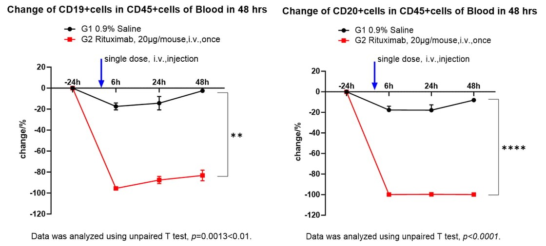 Short-Term Depletion of CD19⁺/CD20⁺ human B Cells in Mouse Peripheral Blood