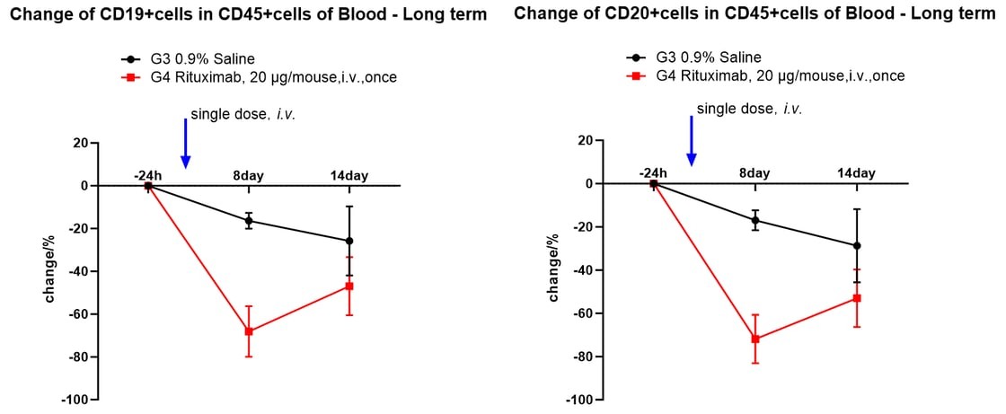 Long-Term Depletion of CD19⁺/CD20⁺ human B Cells in Mouse Peripheral Blood