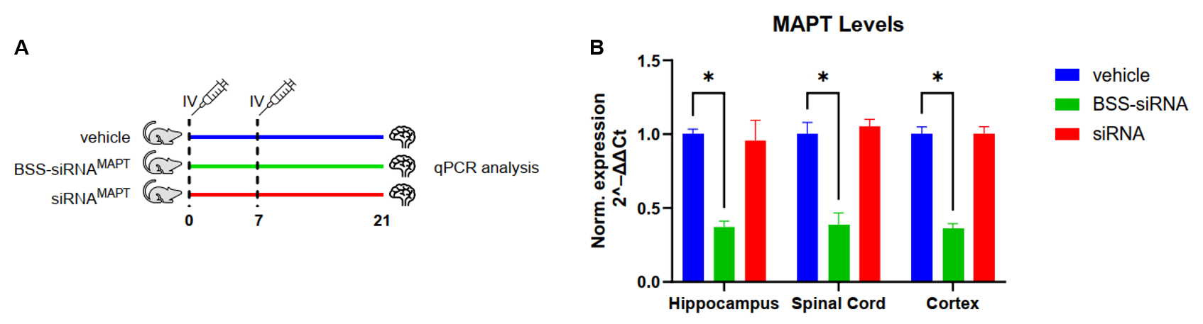 The inhibitory efficiency of the AOC drug against human MAPT in B-hTFR1/hTAU mice. 