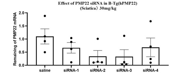  Inhibitory efficiency of oligonucleotide drugs in hemizygote B-Tg(hPMP22) mice