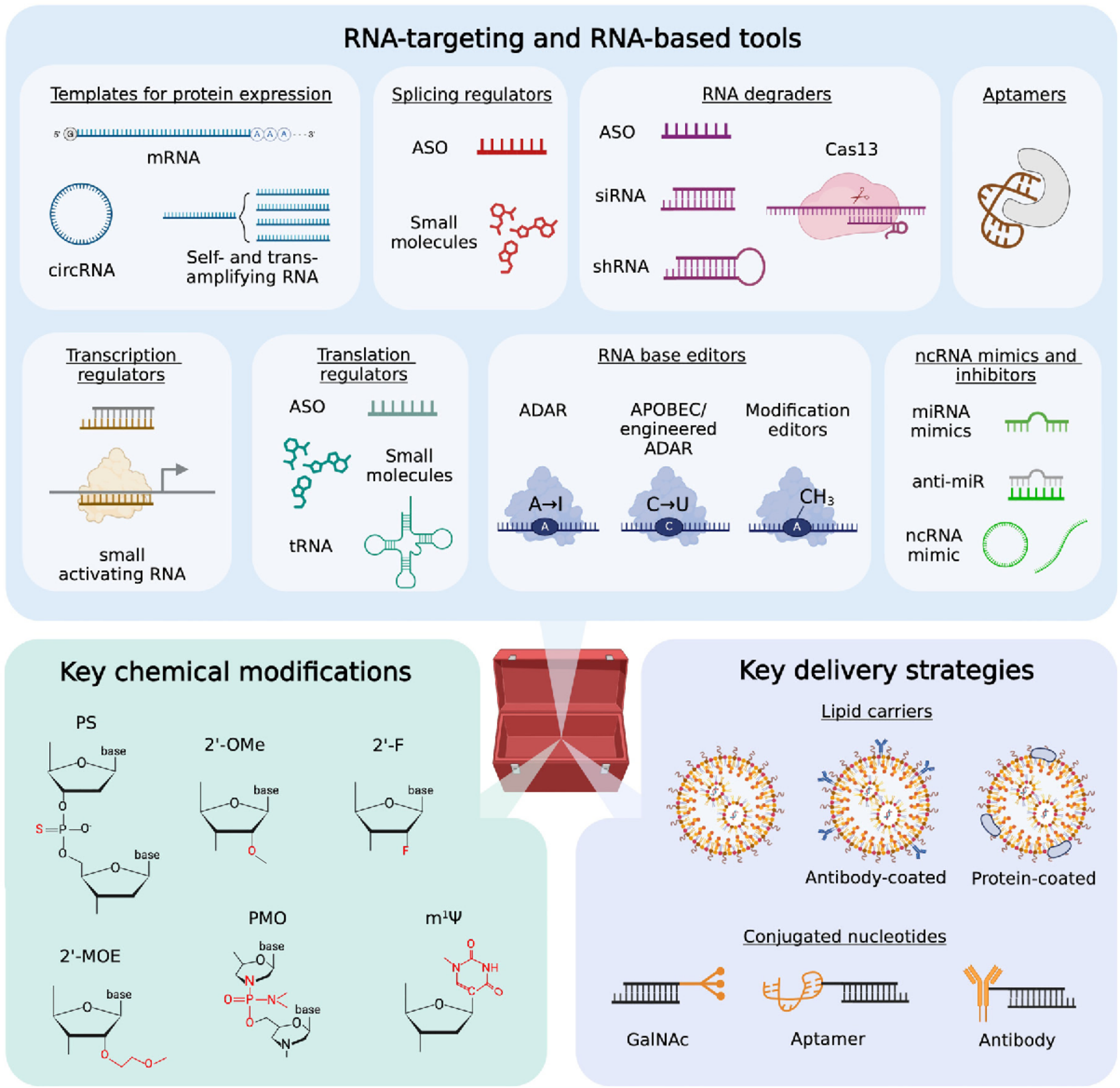 Overview of the RNA therapeutics toolbox.