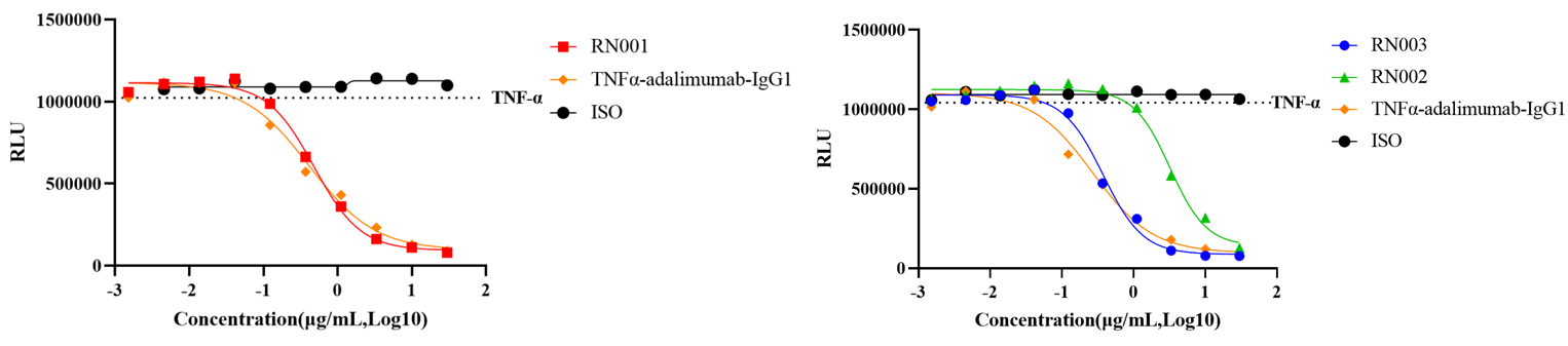 fully human TNFa antibody in vitro blocking activity