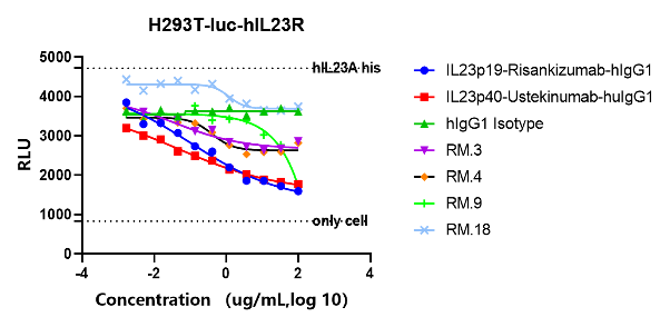 fully human IL23 antibody in vitro blocking activity