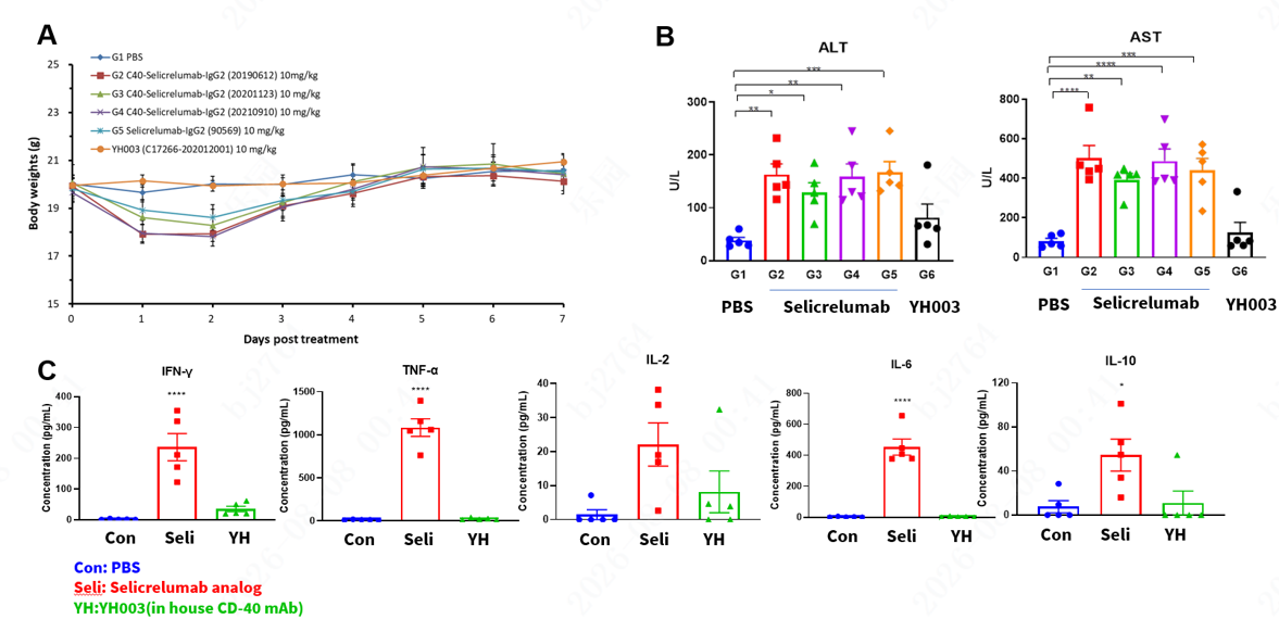 Toxicological Profiles of Selicrelumab analog in B-hCD40 mice 