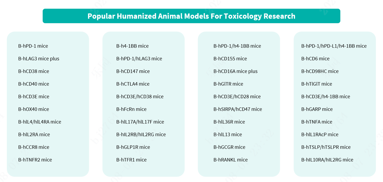 Popular Humanized Animal Models for Toxicology Research