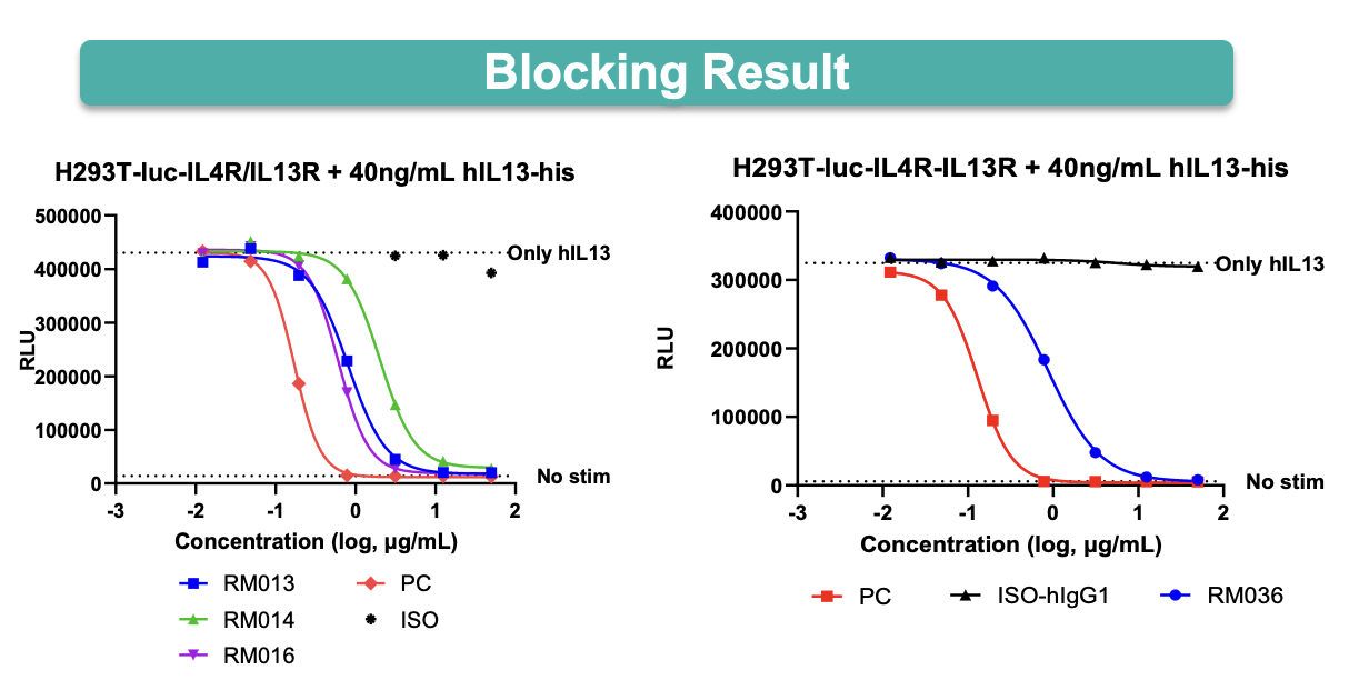 Biocytogen IL-13 HCAbs, mAbs blocking activity