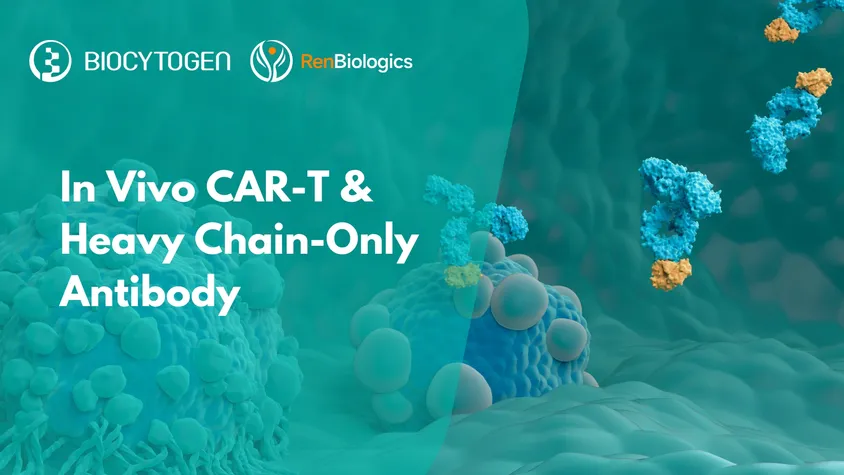 In Vivo CAR-T and HCAbs: A Powerful Duo Advancing Cancer Therapy Innovation