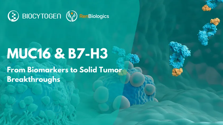 From Biomarkers to Breakthroughs: Targeting MUC16 and B7-H3 to Combat Solid Tumors
