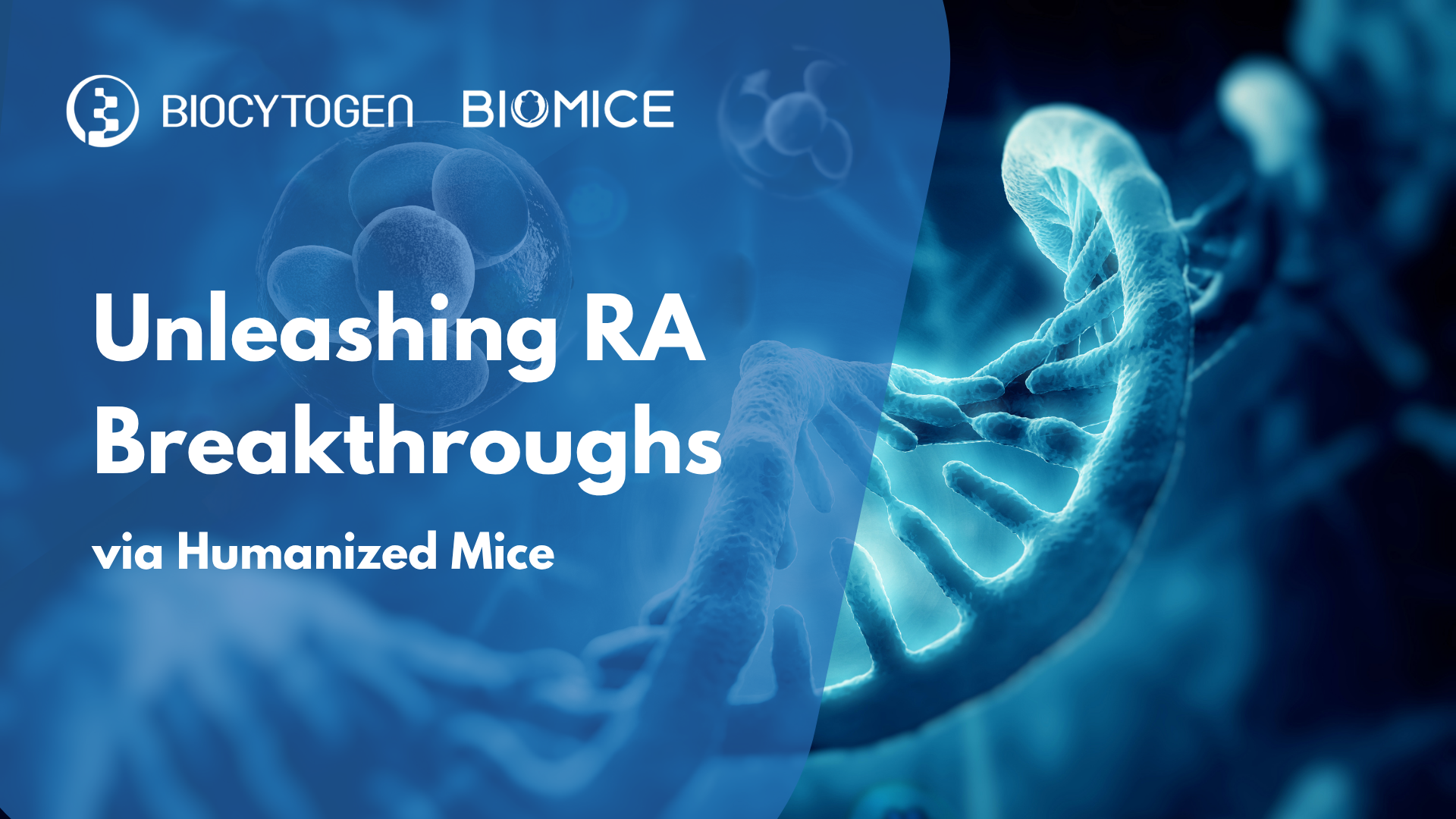 Unmasking Rheumatoid Arthritis: Breakthrough Therapies and the Power of Humanized Mouse Models