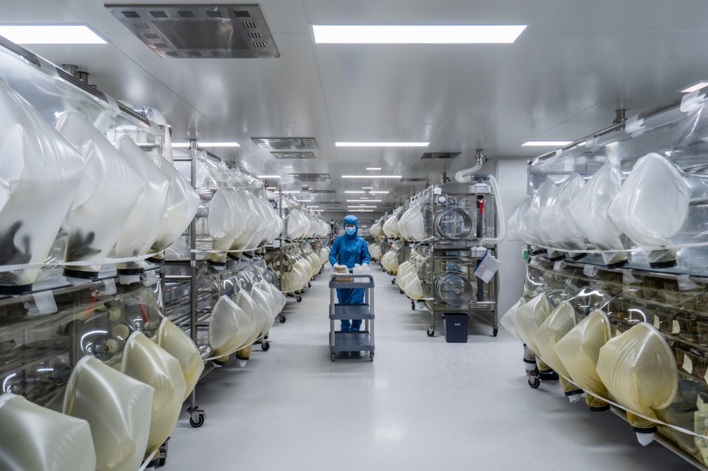 实验动物遗传质量控制：从国标检测到繁殖管理的三重保障体系​